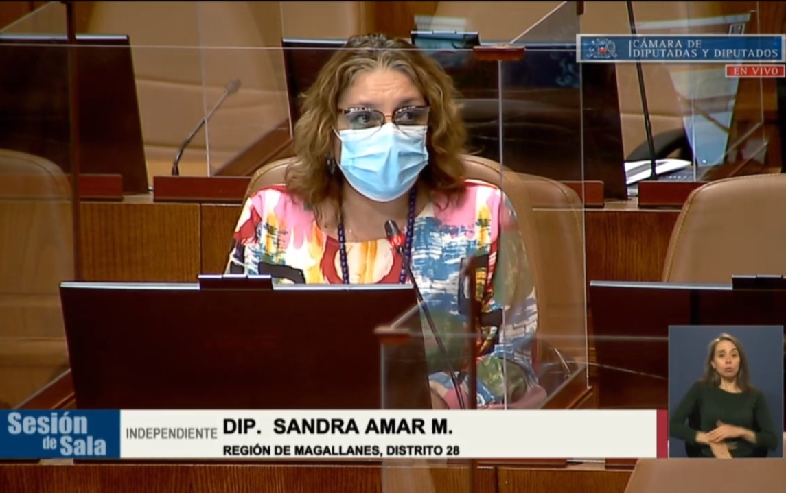 Diputada Amar aprueba y se despacha a ley proyecto que obliga al uso de tobilleras electrónicas para quienes ejerzan violencia intrafamiliar