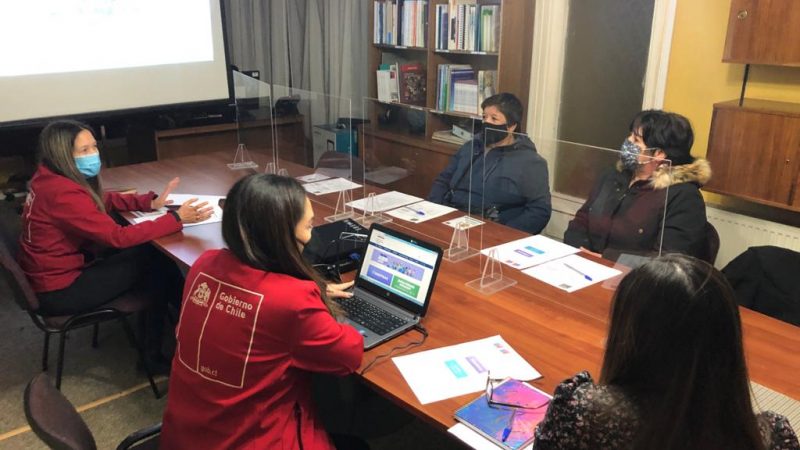 Seremis del Trabajo y la Mujer llaman a dar cobertura a trabajadoras de casa particular con Seguro Covid