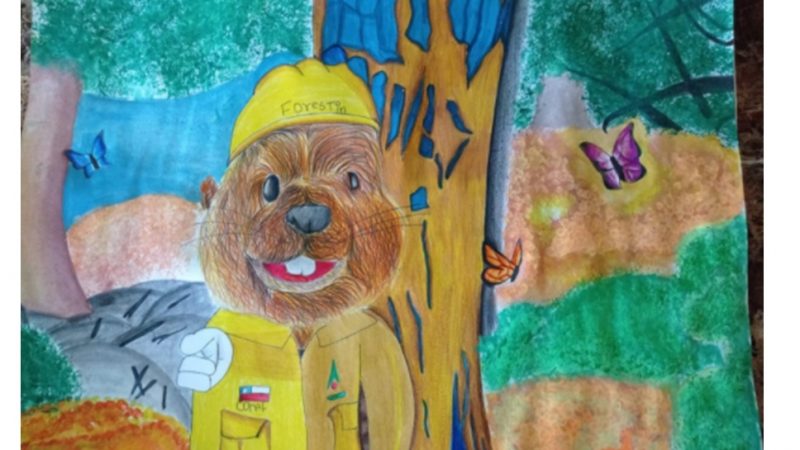 CONAF premió a ganadores de Concurso de Dibujo sobre Forestín