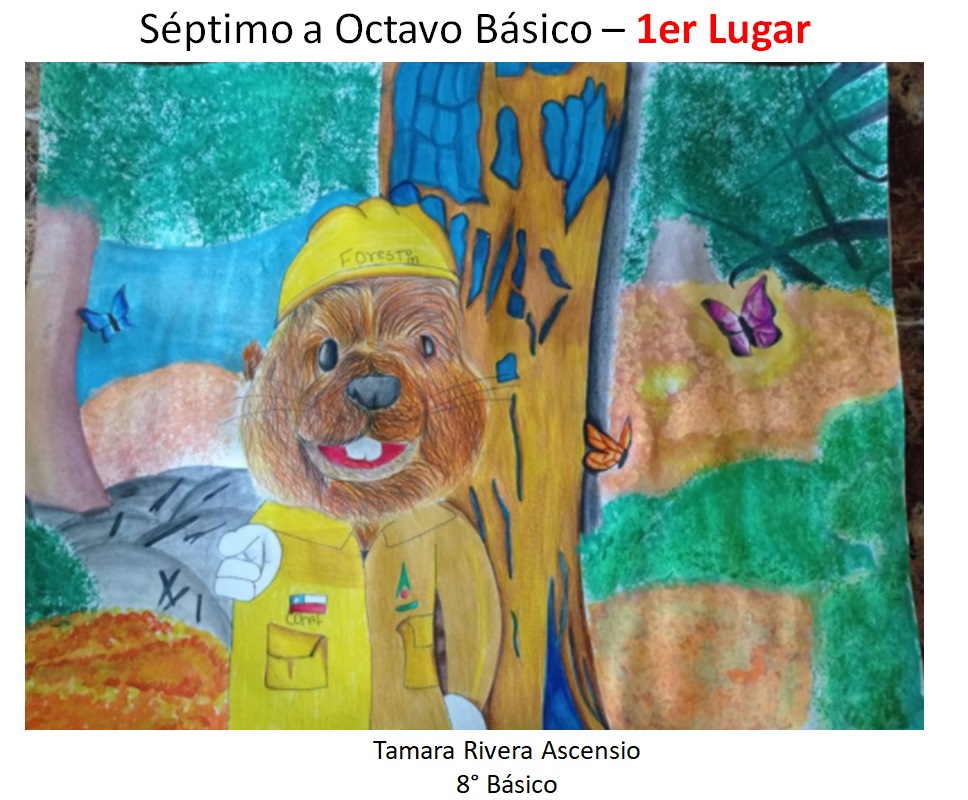 CONAF premió a ganadores de Concurso de Dibujo sobre Forestín