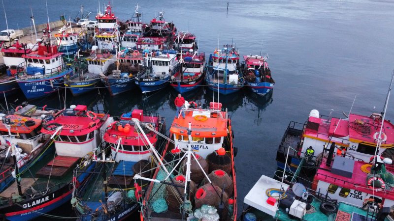 Gran desafío: Fortalecer las pesquerías de ostión y centolla en Magallanes