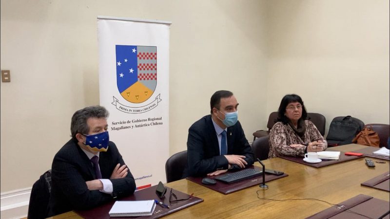 Se abre la alternativa de un laboratorio de Sinovac para la creación de vacunas en Magallanes.