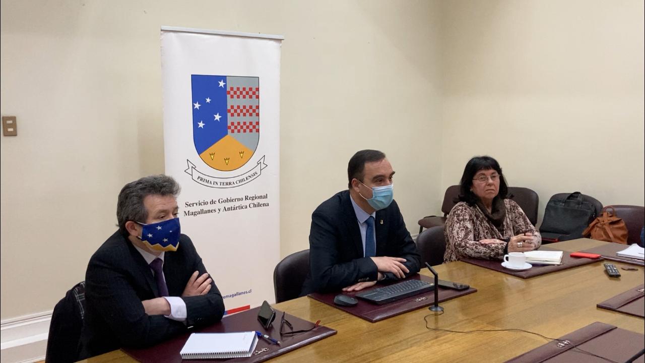 Se abre la alternativa de un laboratorio de Sinovac para la creación de vacunas en Magallanes.