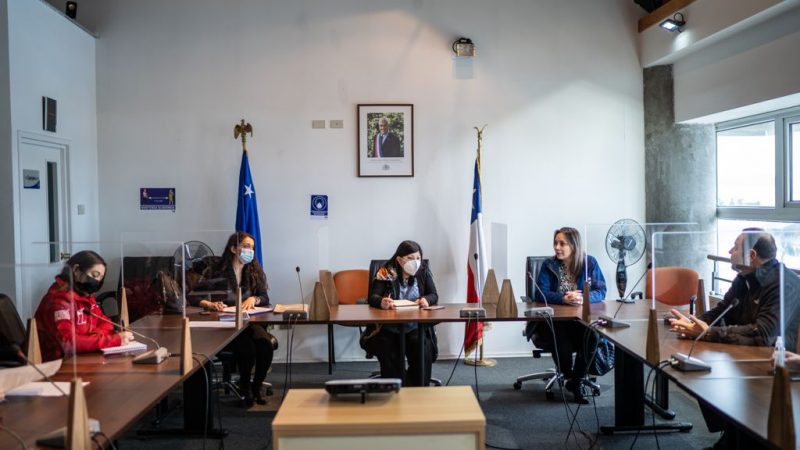 Delegación Presidencial de Magallanes anuncia que en las próximas semanas se instalarán 5 cámaras de vigilancia en Puerto Natales