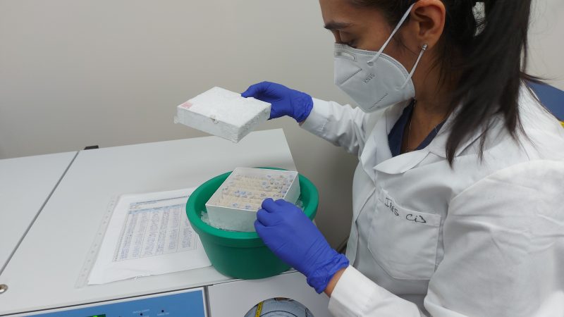 UMAG es la primera universidad pública en incorporarse al informe epidemiológico de variantes SARS-COV-2