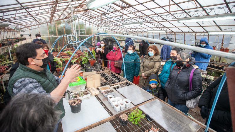 Familias de Punta Arenas se capacitan en la autoprovisión de alimentos saludables