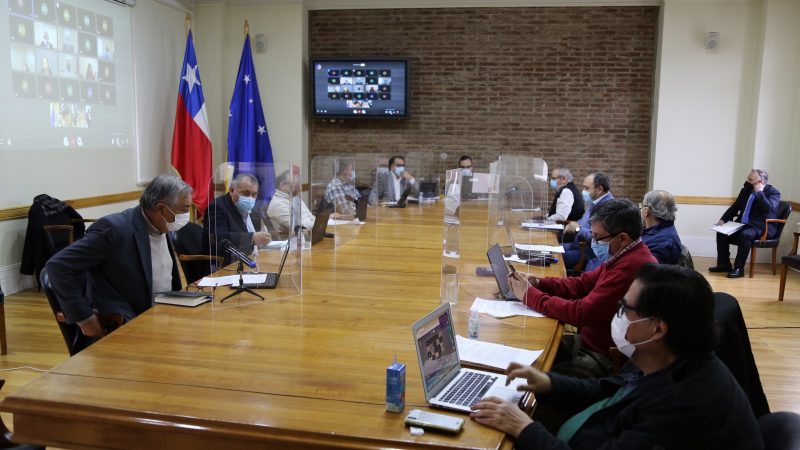 Consejo Regional manifiesta preocupación por dificultades en ejecución de Proyectos FRIL en Puerto Natales