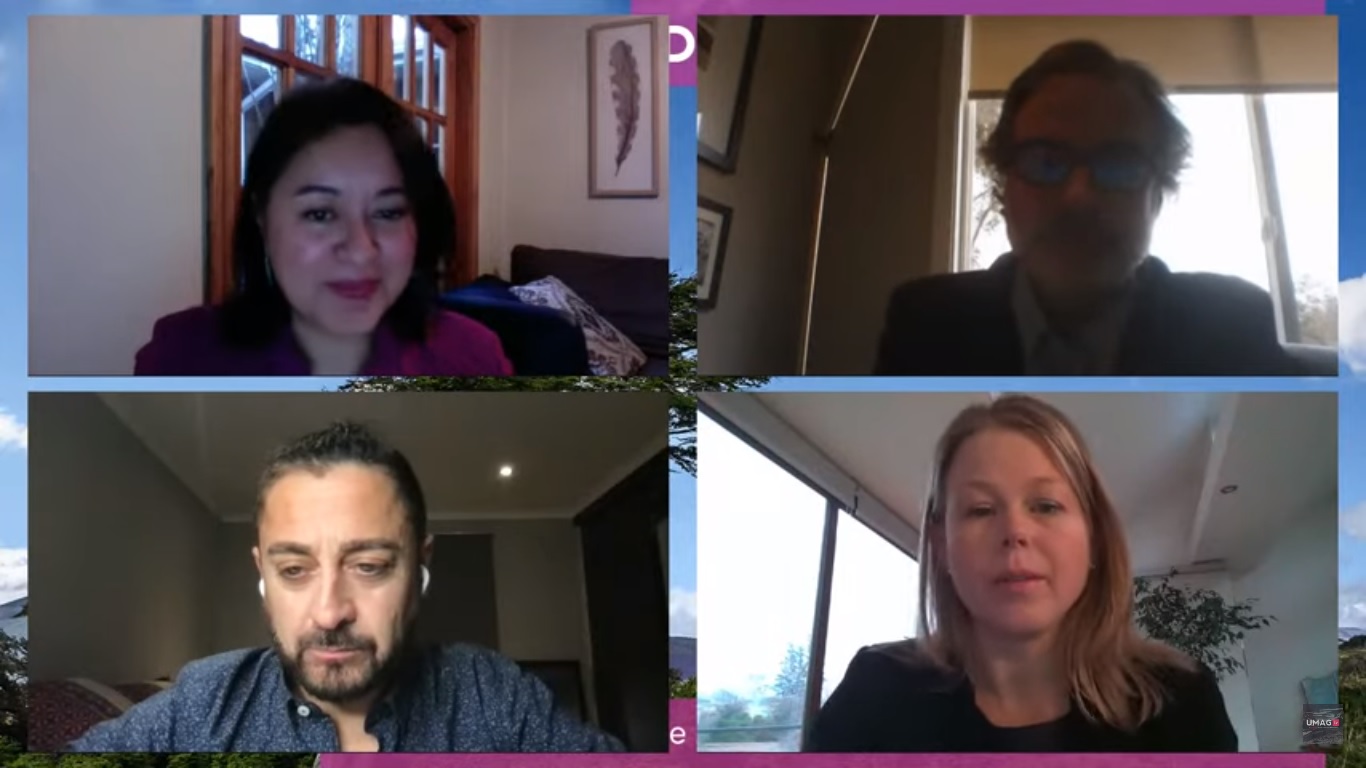 Impacto de la industria del hidrógeno verde y desafío de la carbono neutralidad abordó primer seminario UMAG-HIF