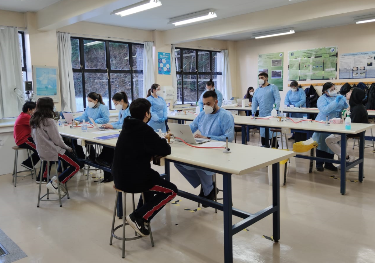 Más de 1.500 test de antígenos se han aplicado en comunidades escolares de Punta Arenas