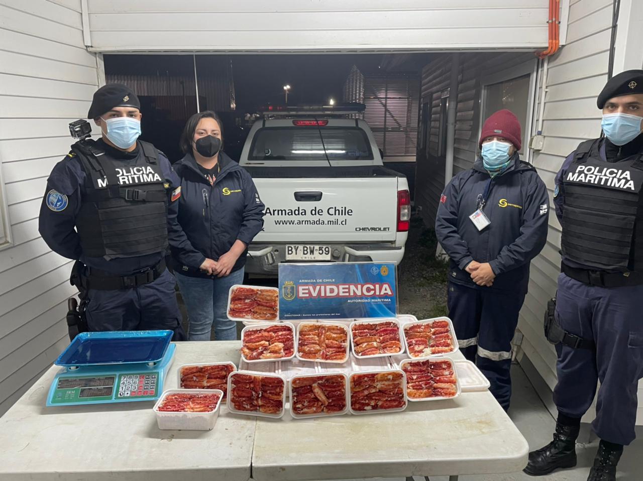 Nuevo hallazgo de centolla ilegal, esta vez en Puerto Natales