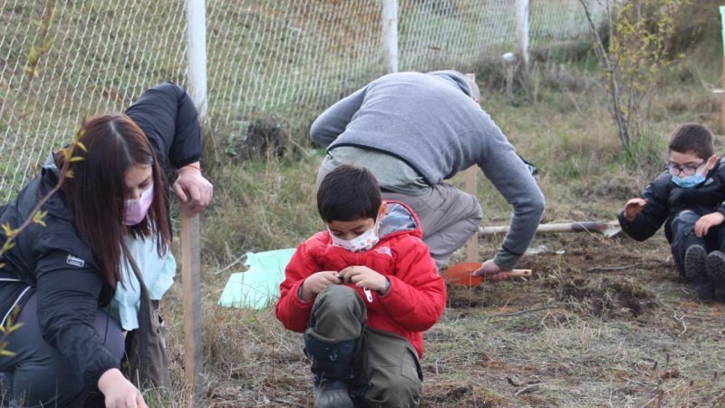 Colaboradores de ASMAR Magallanes plantaron más de 160 árboles