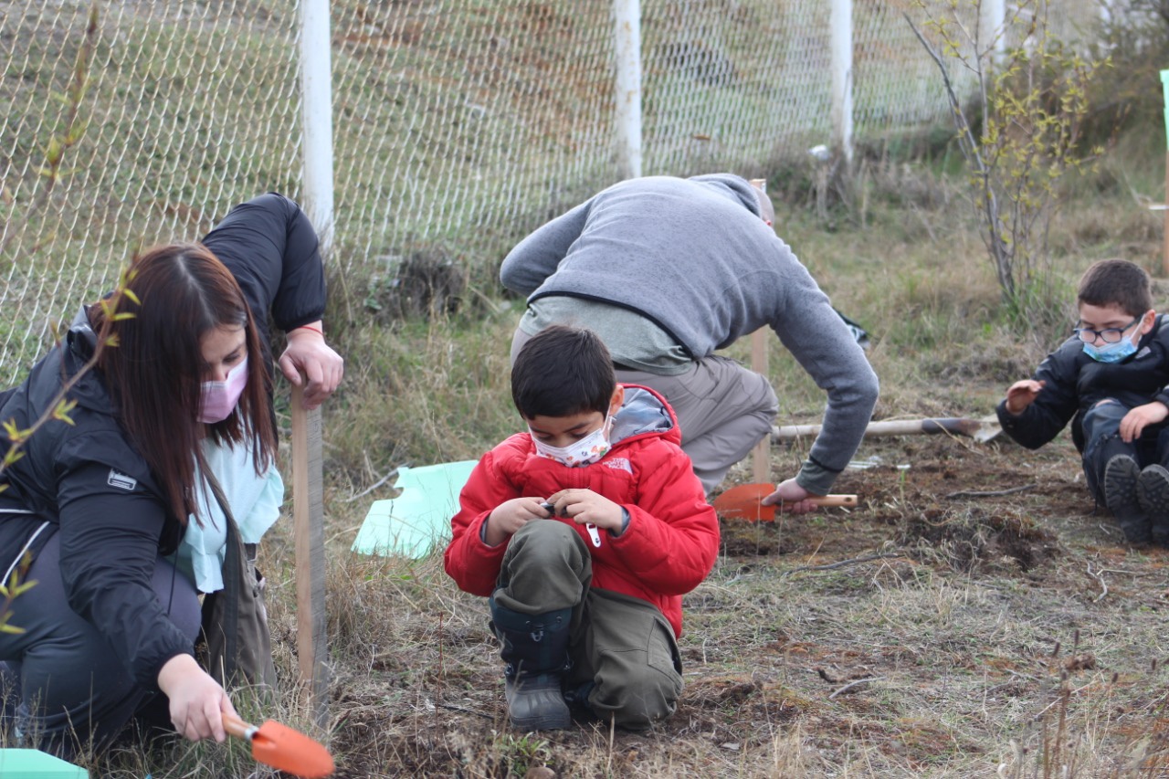 Colaboradores de ASMAR Magallanes plantaron más de 160 árboles