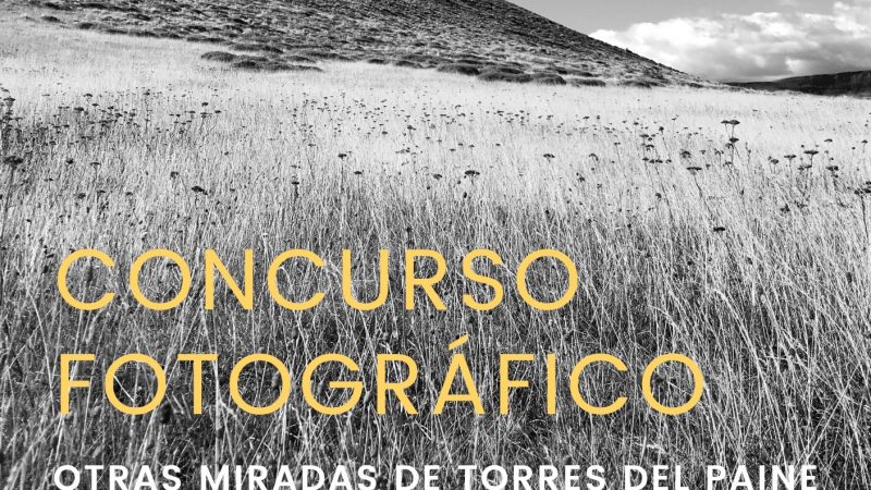 Concurso fotográfico invita a capturar distintas miradas de Torres del Paine