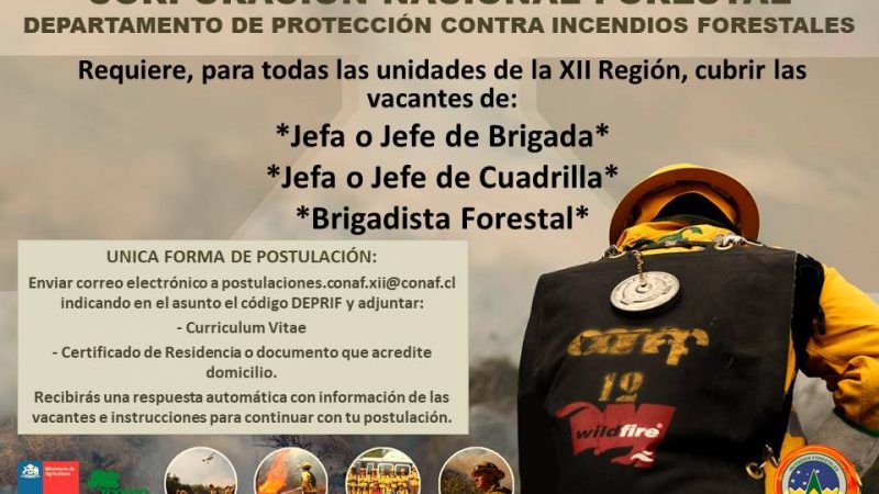 CONAF convoca a personas para  integrar brigadas forestales