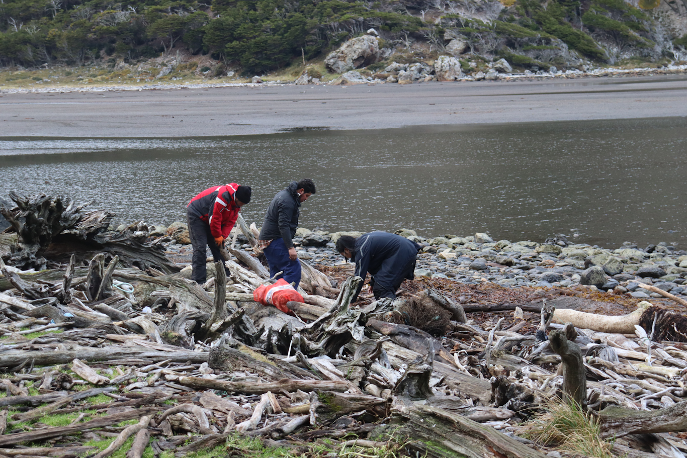 Residuos plásticos, telas y metales amenazan la biodiversidad de las áreas marinas protegidas de Magallanes