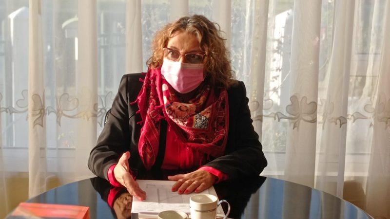 Diputada Amar solicitó más recursos para las pymes de Magallanes