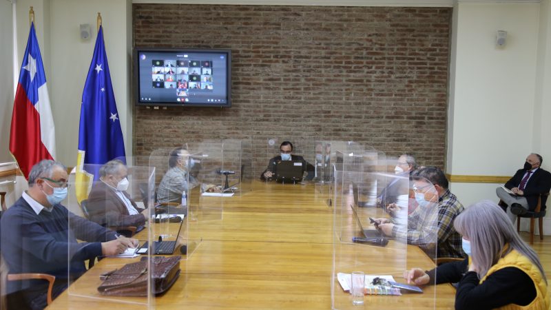 Consejeros Regionales piden mejorar fiscalización en proceso de entrega de ayudas y servicios básicos a sectores periurbanos de Punta Arenas
