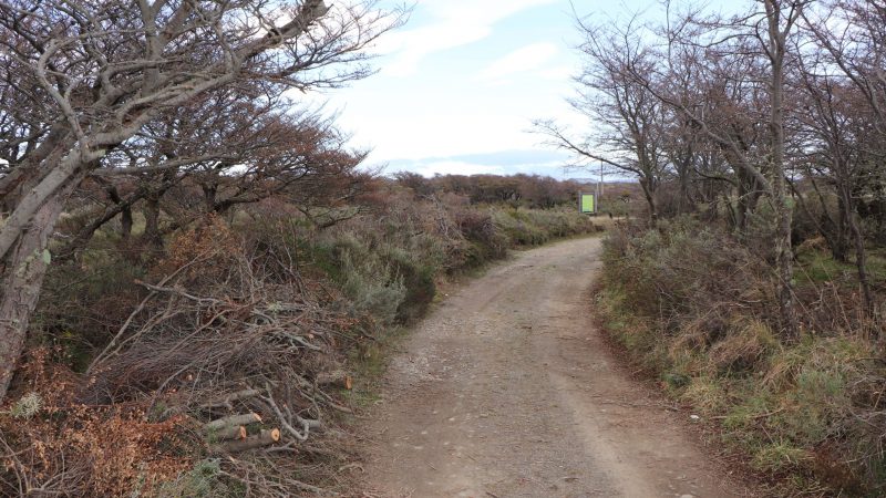 CONAF y Municipalidad de Punta Arenas presentaron avances de intervención en Parque Chabunco