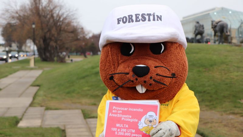 Forestín entrega recomendaciones para prevenir incendios forestales en celebración de Fiestas Patrias