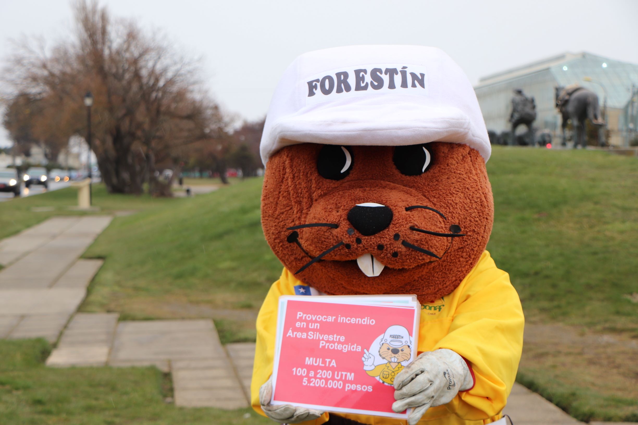 Forestín entrega recomendaciones para prevenir incendios forestales en celebración de Fiestas Patrias