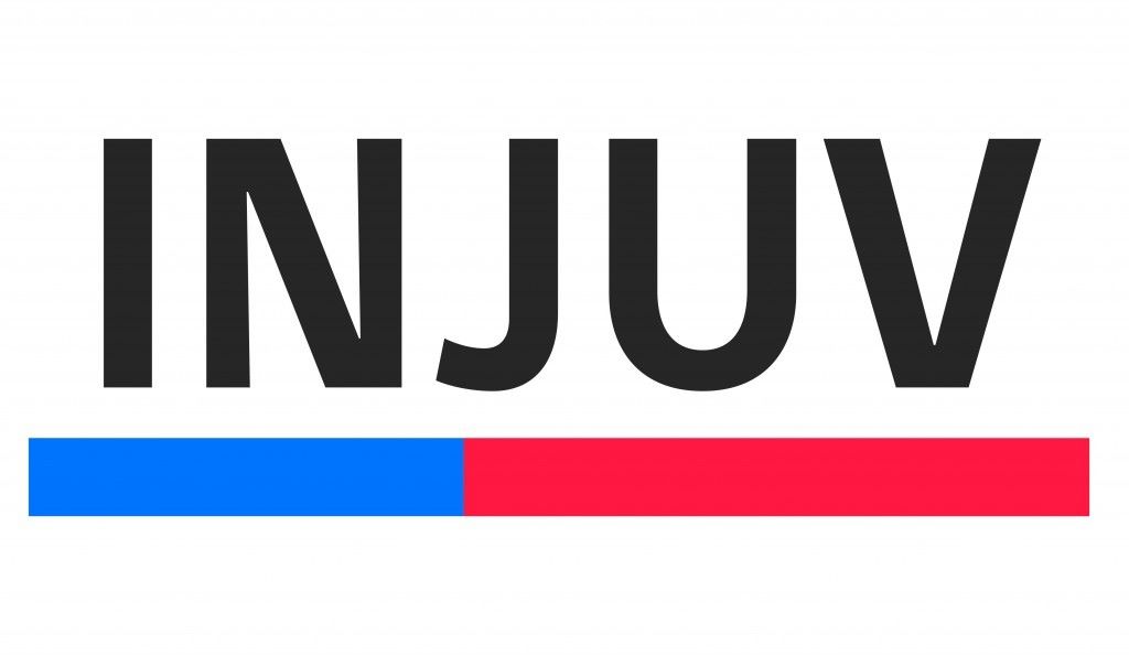 INJUV convoca a jóvenes para su equipo de voluntarios en Magallanes