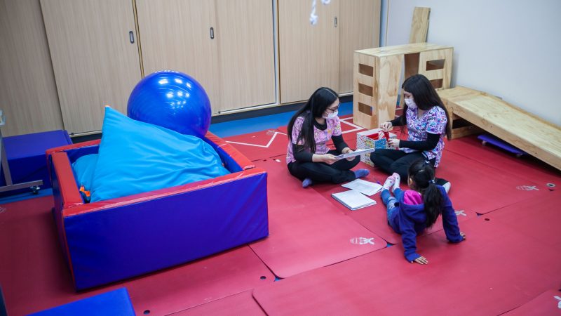 Alrededor de mil prestaciones en Terapia Ocupacional se ejecutan en el CADI UMAG gracias a proyecto de rehabilitación