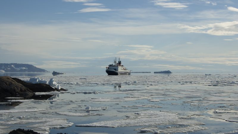 Estudio comparó presencia de metales trazas en el Ártico y la Antártica