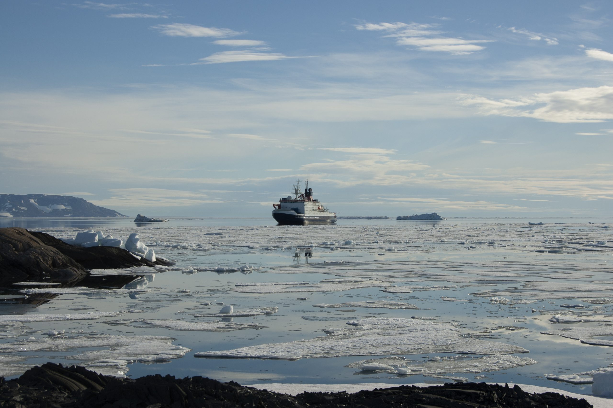 Estudio comparó presencia de metales trazas en el Ártico y la Antártica