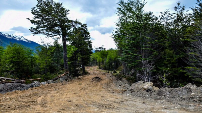 Puerto Williams: Ejecutan proyecto para evitar propagación del fuego ante incendios forestales