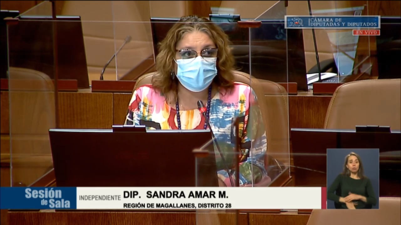 Cámara de Diputadas y Diputados aprueba proyecto de parlamentaria Sandra Amar que busca con insistencia una mesa de negociación del 4% con el Gobierno