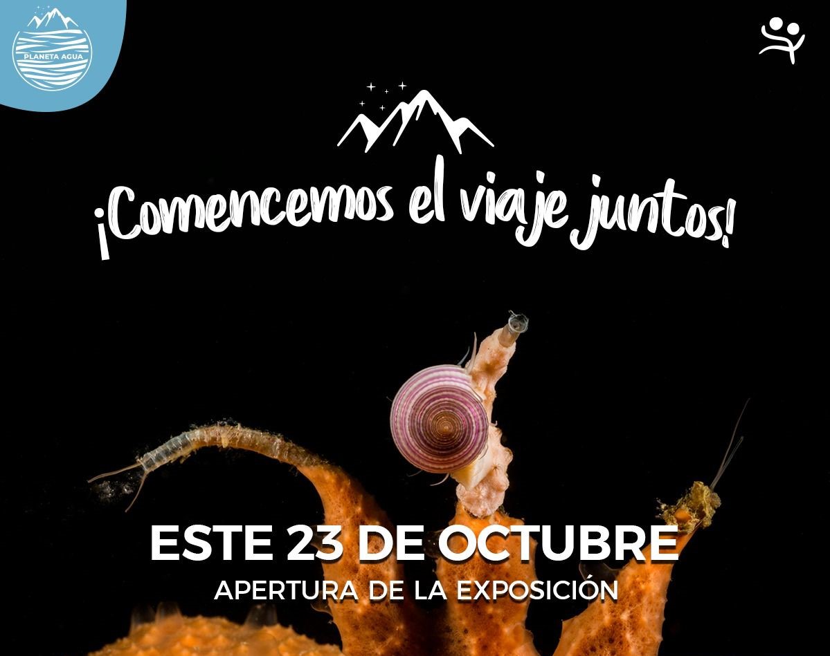 Documental científico del Estrecho de Magallanes será parte de la exhibición “Planeta Agua: Entre ríos & fiordos”