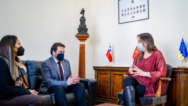 Autoridades de Magallanes valoran nueva Ley que permitirá monitoreo telemático para agresores de violencia intrafamiliar
