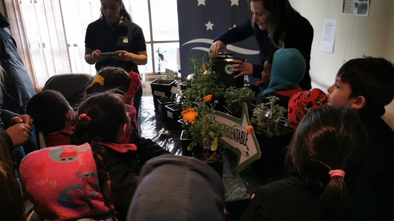 Explora Magallanes invita a participar de sus actividades en el Festival de la Ciencia