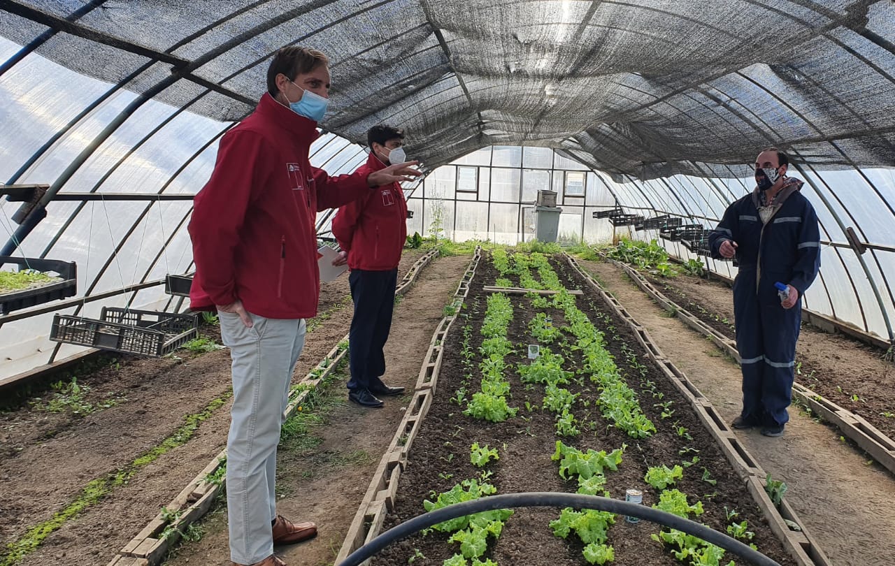 Director Nacional de SENADIS promueve iniciativas de inclusión de personas con discapacidad en su primera visita a Magallanes