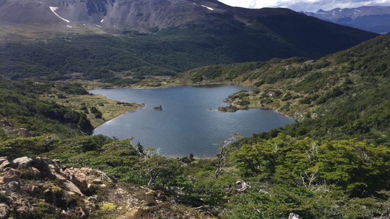 CONAF entrega detallado catastro de recursos vegetacionales en  Magallanes