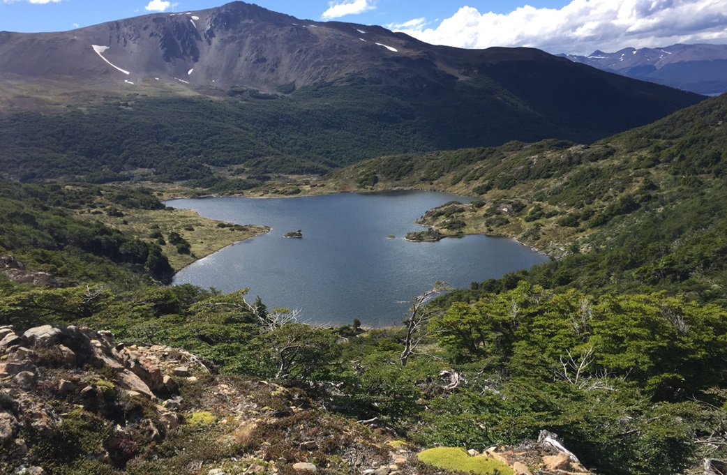 CONAF entrega detallado catastro de recursos vegetacionales en  Magallanes
