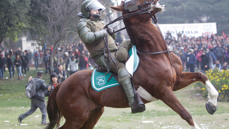 Colegio Médico Veterinario alerta ante uso de caballos por parte de Carabineros en manifestaciones