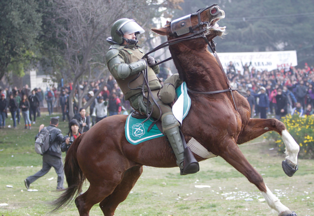 Colegio Médico Veterinario alerta ante uso de caballos por parte de Carabineros en manifestaciones