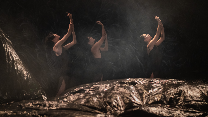 Ministerio de las Culturas lanza nueva convocatoria para la 9ª edición de los Encuentros Coreográficos Nacionales