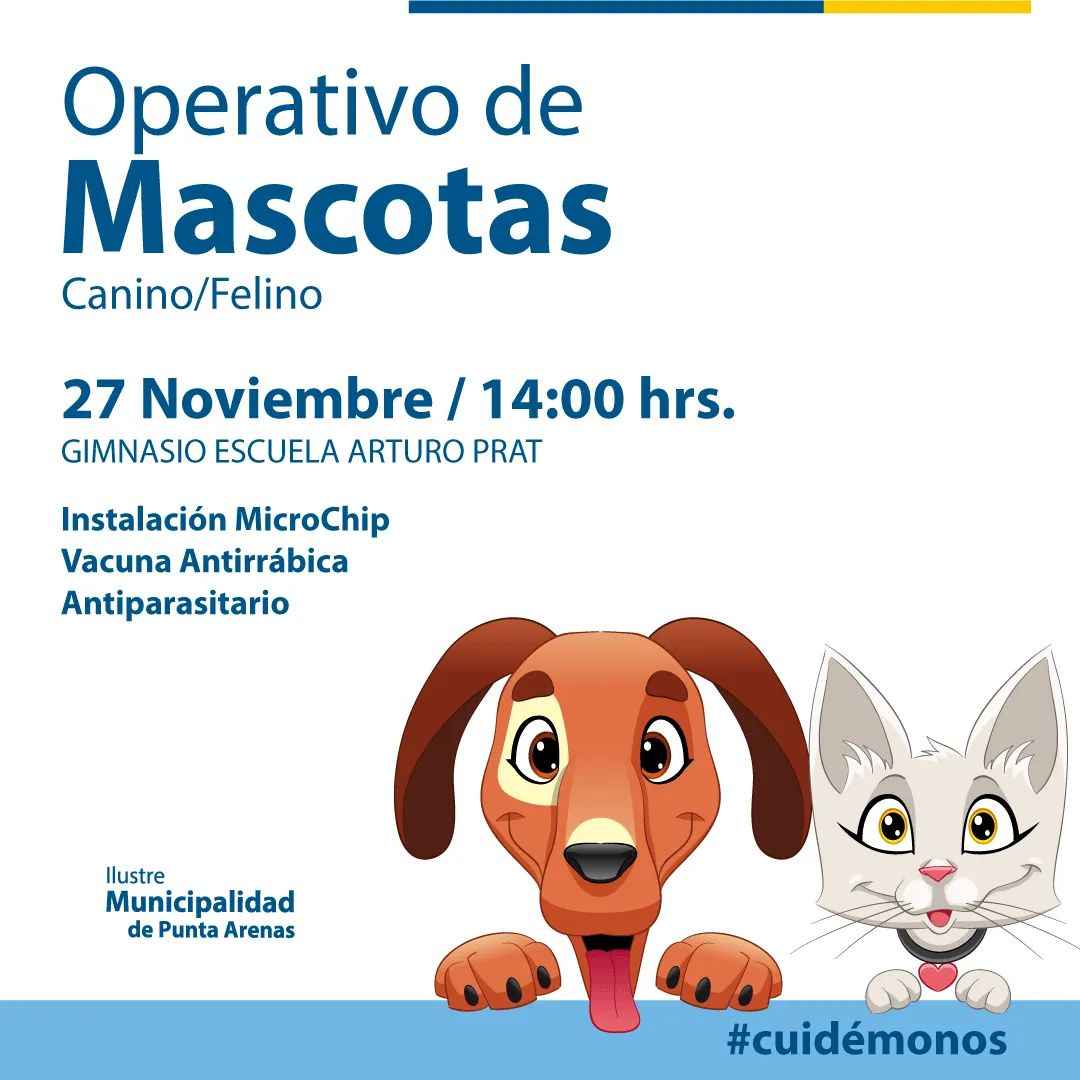 Operativo municipal para mascotas se realiza hoy en Punta Arenas