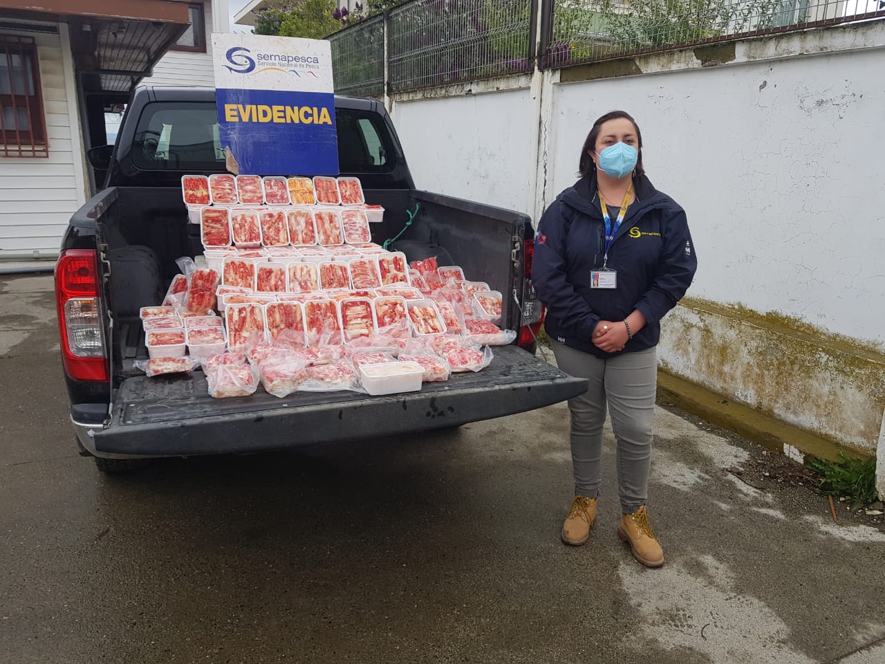 Nuevo hallazgo de centolla ilegal en aeropuerto de Punta Arenas