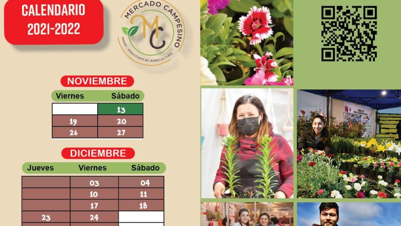 31 días nuevos suma Mercado Campesino de INDAP para comercializar hortalizas regionales