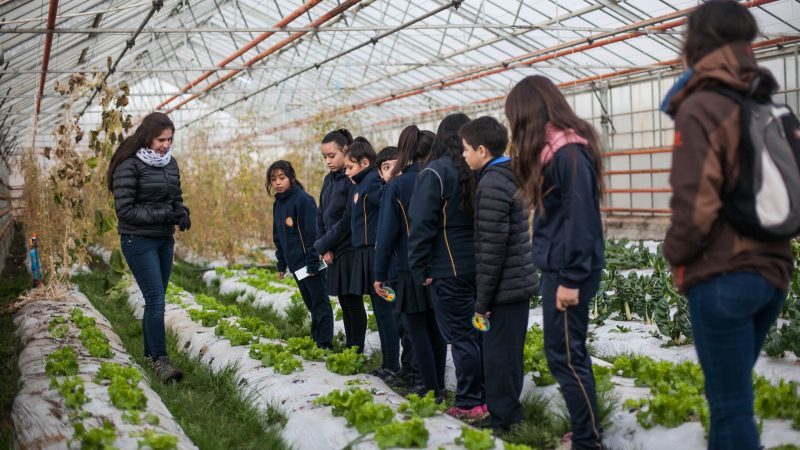 Agronomía UMAG invita a escolares a vivir una nueva celebración del Día de la Fascinación por las Plantas