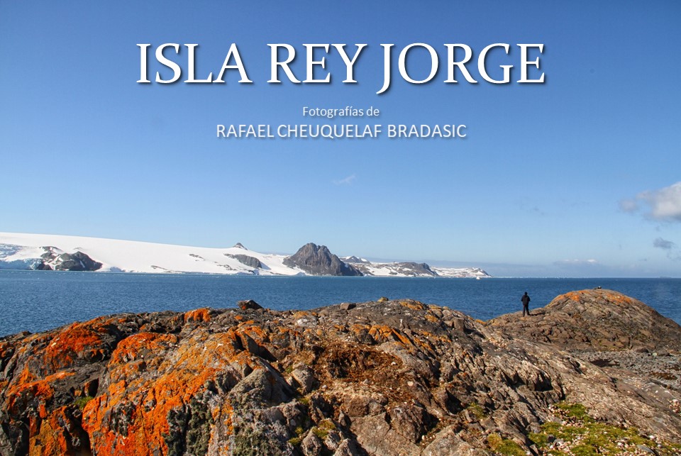 Ventana Cultural UMAG compartirá libro digital “Isla Rey Jorge” en el Día de la Antártica Chilena