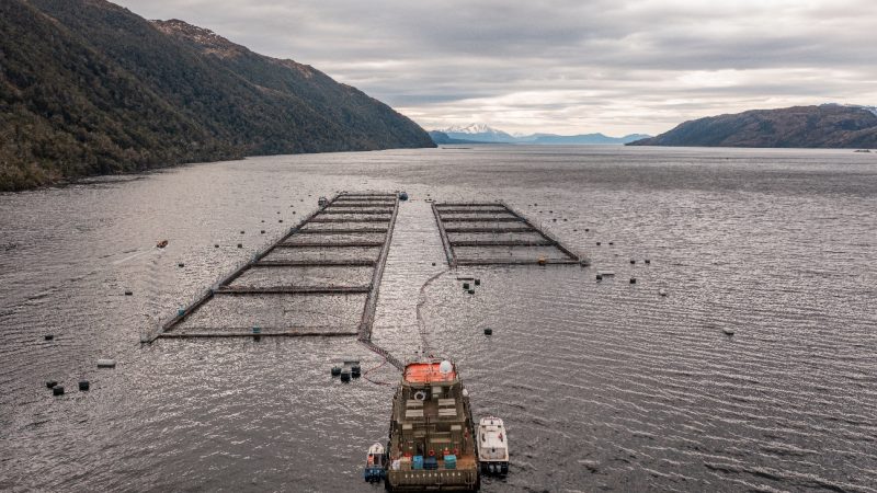 Emprendedores de Magallanes proyectan sus negocios hacia la industria salmonicultora