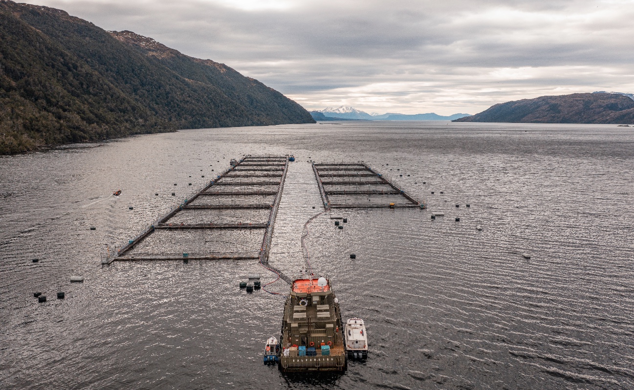 Emprendedores de Magallanes proyectan sus negocios hacia la industria salmonicultora