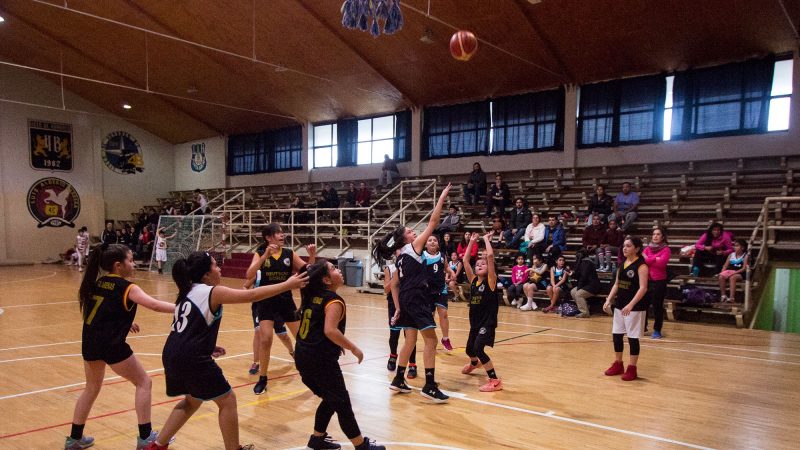 Más de 200 niños, jóvenes y adultos participarán de campeonatos de Básquetbol y Vóleibol