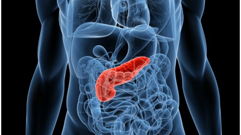 Día Mundial contra el Cáncer de Páncreas: Importante incremento en el cáncer de páncreas en los próximos años: ¿Existe posibilidad de revertir esta situación?