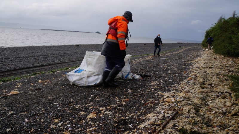 Gremio empresarial Consejo del Salmón expande iniciativa medioambiental de limpieza de playas a la región de Magallanes