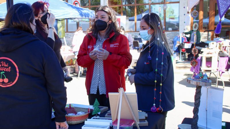 Delegación Presidencial de Última Esperanza y Prodemu realizan exitosa feria de emprendedoras